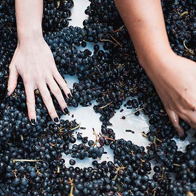 Domaine Zephyr vin du Beaujolais - 1