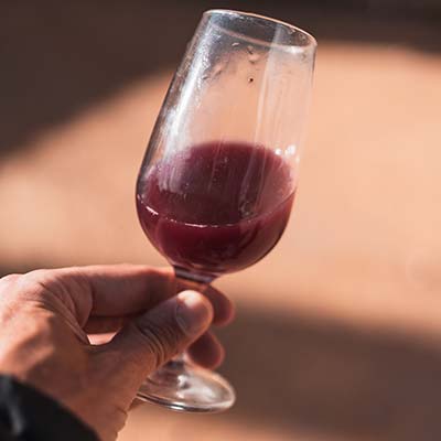 Domaine Zephyr vin du Beaujolais - 7