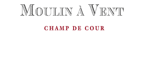 Beaujolais Moulin à vent Champ de Cour